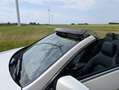 Mercedes-Benz E 250 E 250 Avantgarde Wit - thumbnail 9