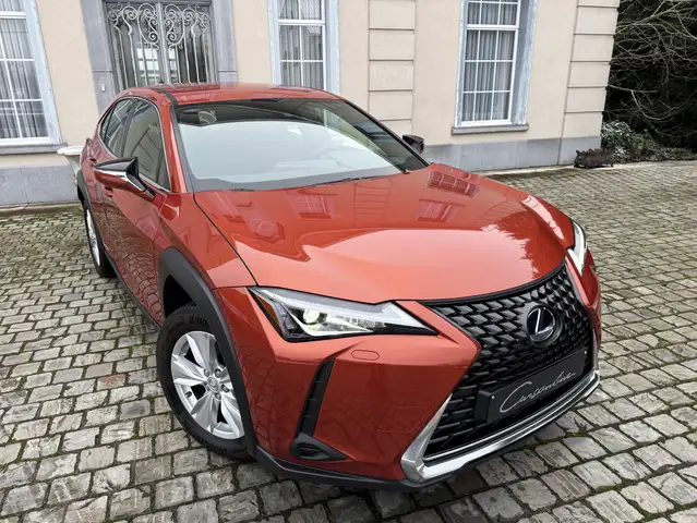 Lexus UX 250h Carplay,Lane Assist, Blazing Carnelian, Garantie!