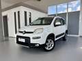 Fiat Panda FIAT PANDA 1.3. MJT 75 CV - 2015 Bianco - thumbnail 4