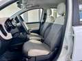 Fiat Panda FIAT PANDA 1.3. MJT 75 CV - 2015 Bianco - thumbnail 14