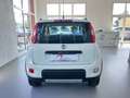 Fiat Panda FIAT PANDA 1.3. MJT 75 CV - 2015 Bianco - thumbnail 9