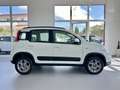 Fiat Panda FIAT PANDA 1.3. MJT 75 CV - 2015 Bianco - thumbnail 7