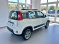 Fiat Panda FIAT PANDA 1.3. MJT 75 CV - 2015 Bianco - thumbnail 8