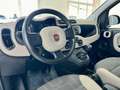Fiat Panda FIAT PANDA 1.3. MJT 75 CV - 2015 Bianco - thumbnail 15