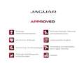 Jaguar F-Pace D300 R-Dynamic SE AHK HUD Pano 3DCam Winter Bleu - thumbnail 10