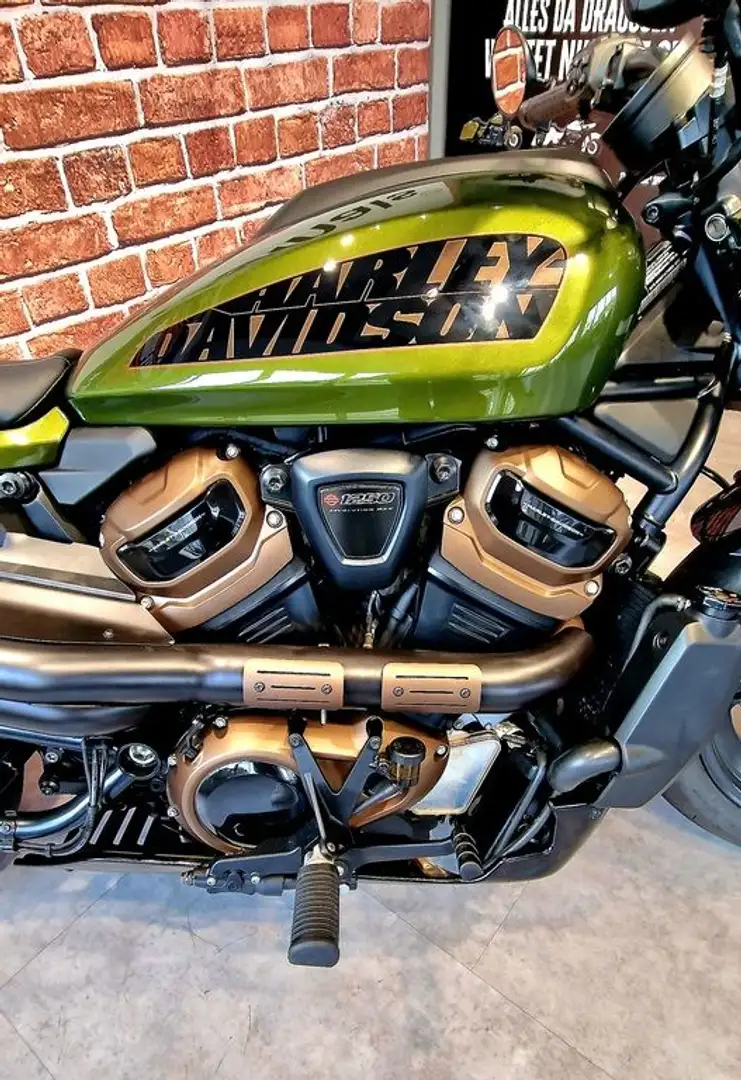Harley-Davidson Sportster S Grün - 2