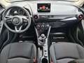 Mazda 2 e-Skyactiv G90 Homura RKam Shz PTS Klima LED Niebieski - thumbnail 16