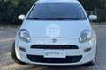 Fiat Punto Punto 1.2 8V 5 porte Street Blanc - thumbnail 2