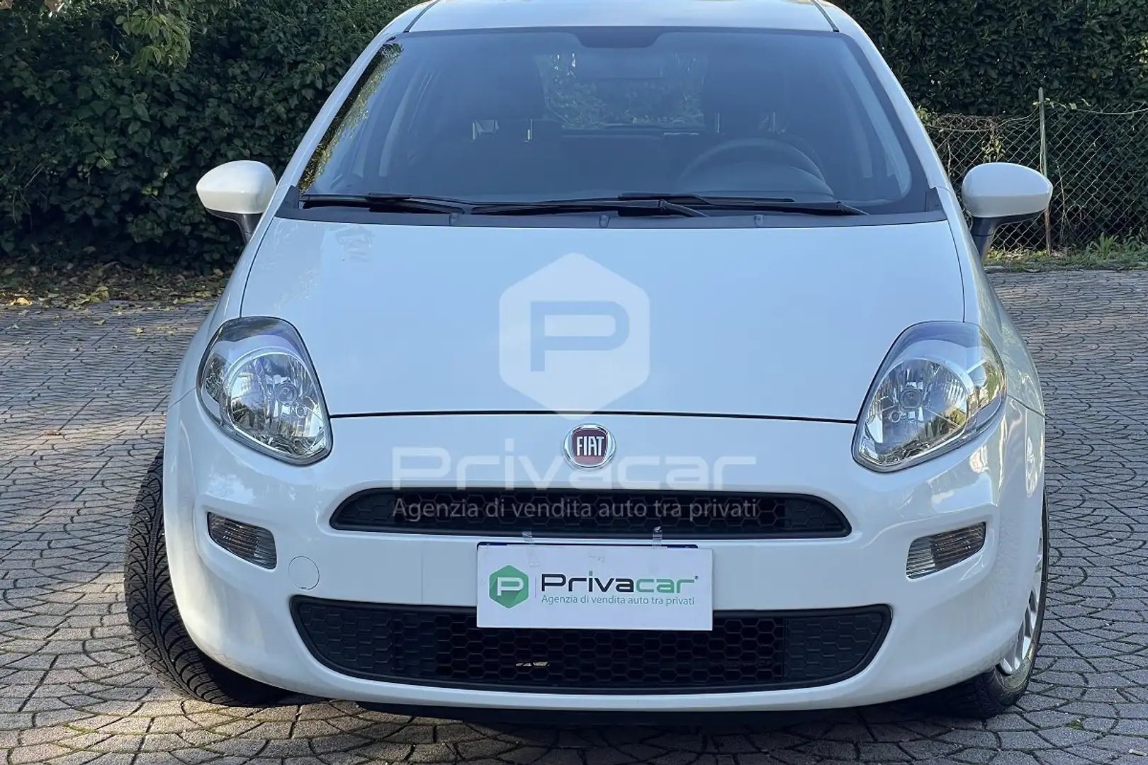 Fiat Punto Punto 1.2 8V 5 porte Street Blanc - 2