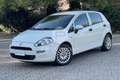 Fiat Punto Punto 1.2 8V 5 porte Street Blanc - thumbnail 1