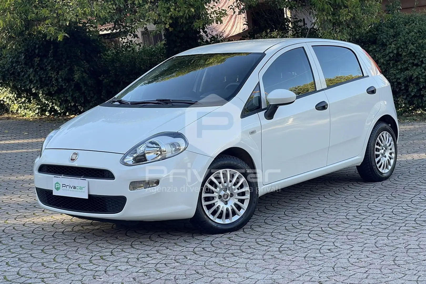 Fiat Punto Punto 1.2 8V 5 porte Street Blanc - 1