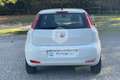 Fiat Punto Punto 1.2 8V 5 porte Street Blanc - thumbnail 5