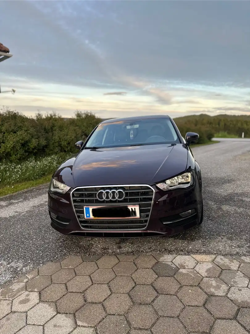 Audi A3 Audi A3 2.0 TDI Sportback| 136 PS Violett - 1