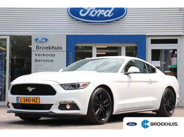 Ford Mustang Fastback 2.3EB | EU-MODEL! | DEALER OH! | LEDEREN