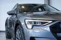 Audi e-tron 55 quattro Business edition Plus 95 kWh | Panorama Grau - thumbnail 18