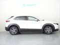 Mazda CX-30 2.0 Skyactiv-X Evolution 2WD Aut 137kW Wit - thumbnail 3