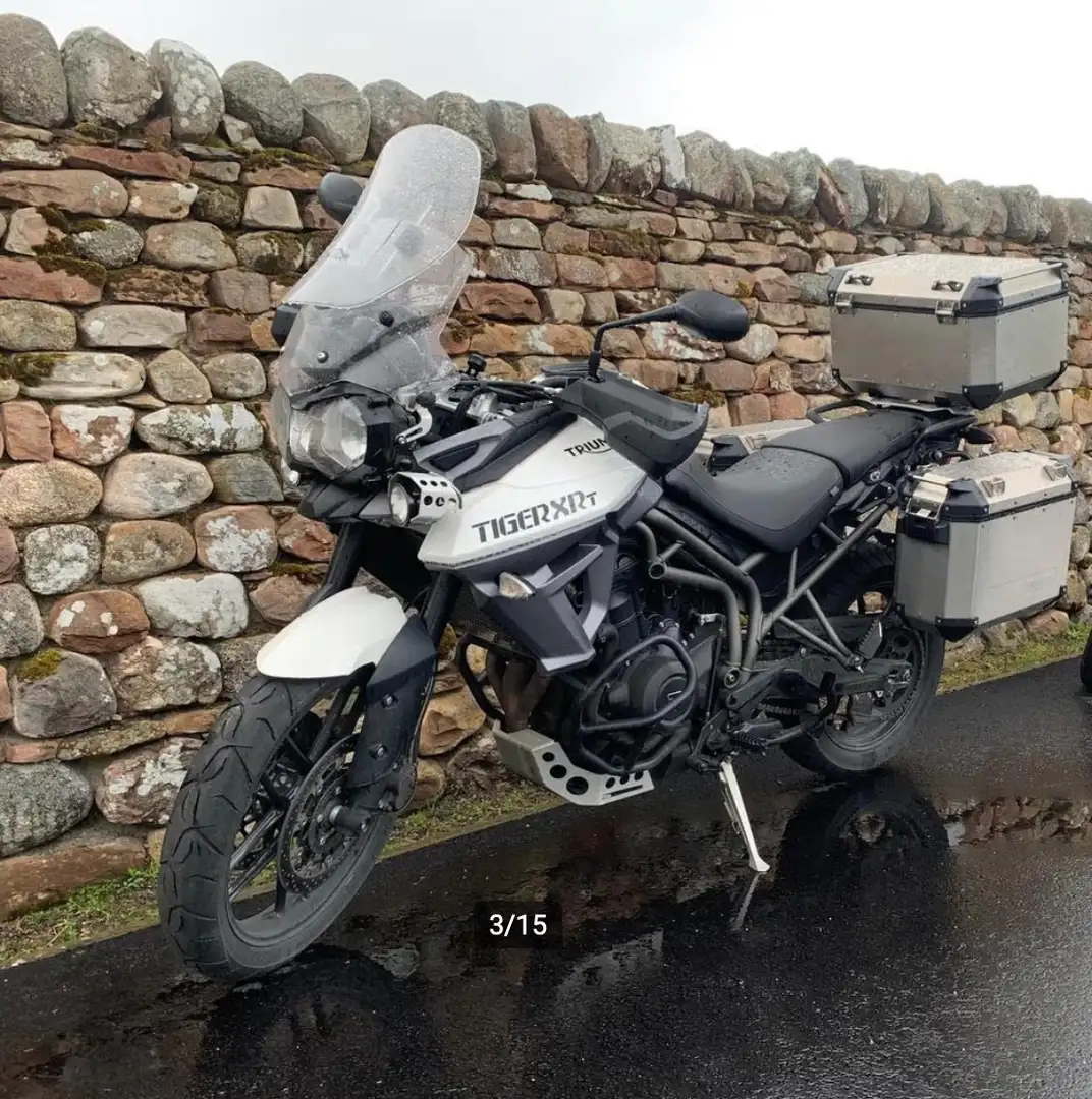 Triumph Tiger 800 XRT Wit - 1