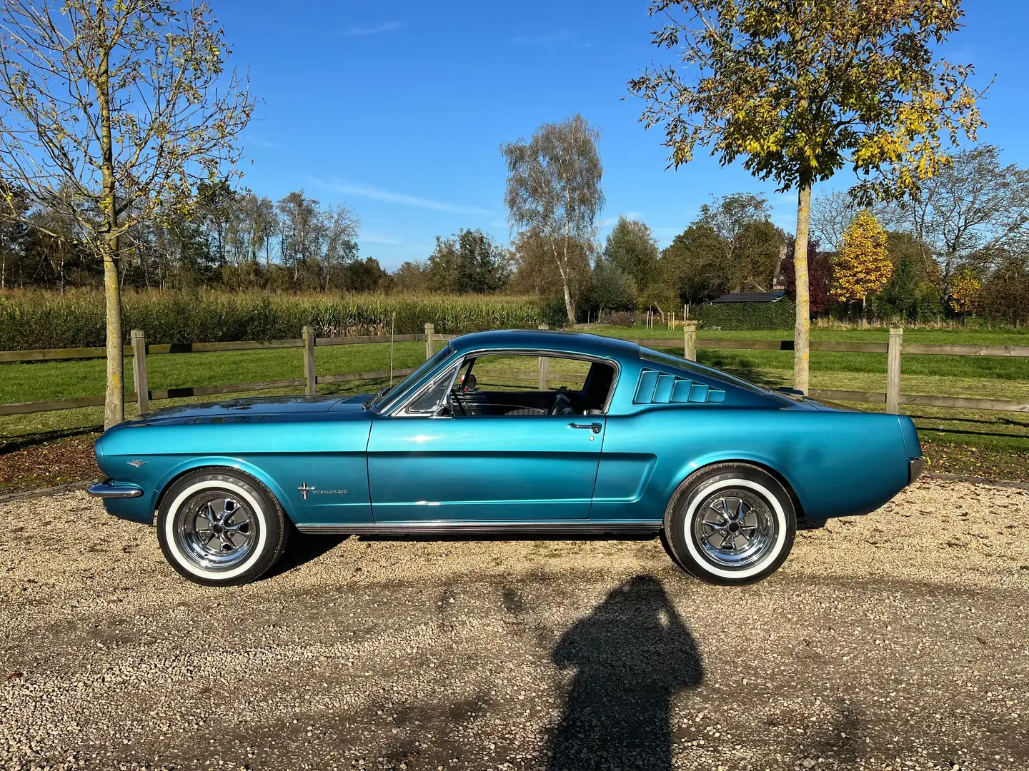 Ford Mustang Fastback 1966 Blauw - 2