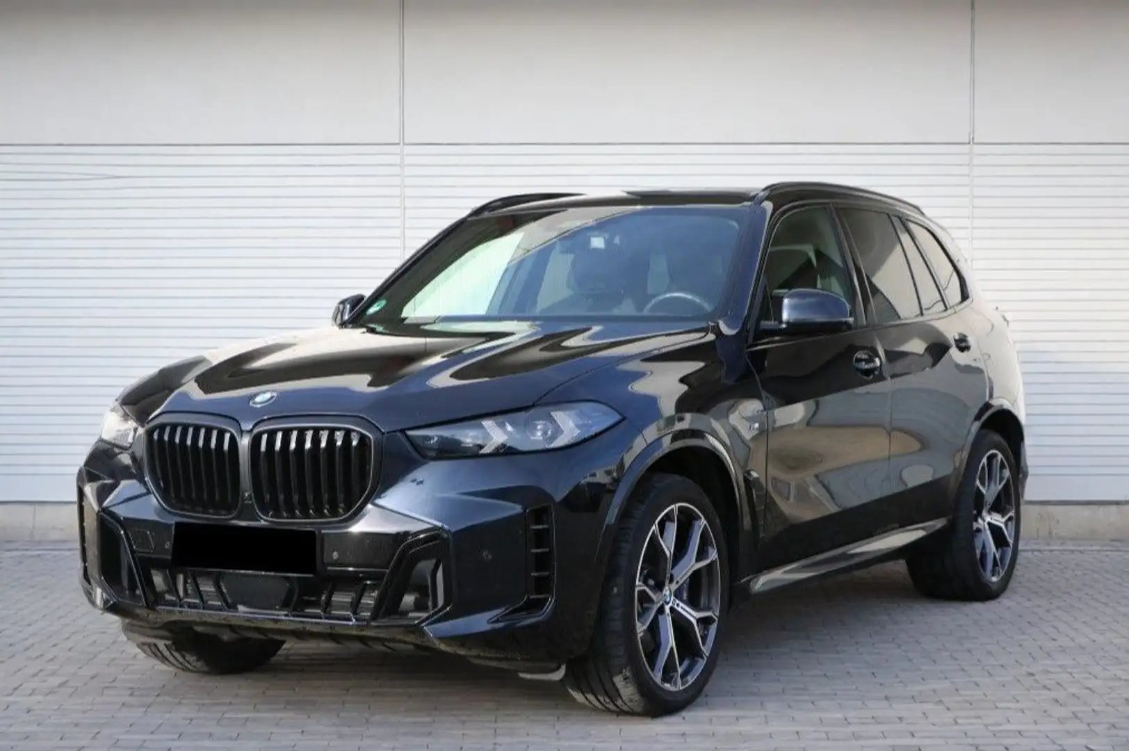 BMW X5 xDrive30d M Sport Negro - 1