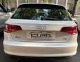 Audi A3 A3 III Sportback 1.6 tdi Ambition 110cv E6 Bianco - thumbnail 8