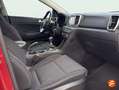 Kia Sportage 1.6 CRDi Business 4x2 136 Burdeos - thumbnail 12