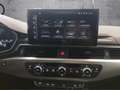 Audi A4 allroad 45 TFSI qu. S tronic MATRIX 17 AHK KAMERA ACC Grigio - thumbnail 14