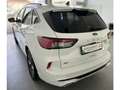 Ford Kuga ST-Line X Allrad Weiß - thumbnail 5