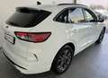 Ford Kuga ST-Line X Allrad Weiß - thumbnail 4
