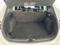 Ford Kuga ST-Line X Allrad Weiß - thumbnail 6