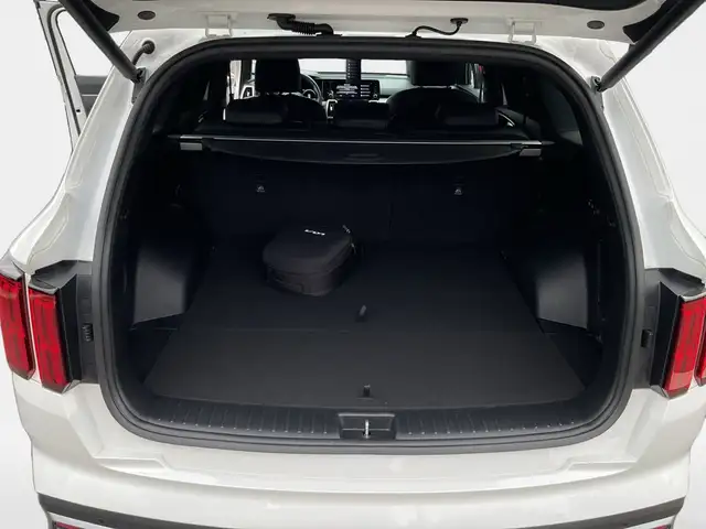 Kia Sorento view 11