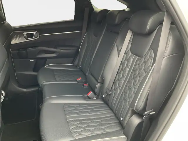 Kia Sorento view 10