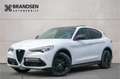Alfa Romeo Stelvio 2.0 T AWD First Edition Pano-20"-Trekhaak-Keyless- Wit - thumbnail 1
