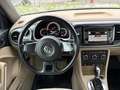 Volkswagen Beetle Cabrio 1.6 TDI DSG BlueMotion Design Gris - thumbnail 11