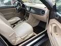 Volkswagen Beetle Cabrio 1.6 TDI DSG BlueMotion Design Grau - thumbnail 7