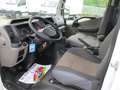 Nissan Cabstar 35-13 2.5 130CV E4 FRIGO CON PIASTRE -40° 8SPOR Bianco - thumbnail 14