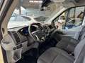 Ford Transit FT 350 L3 Chasis Ambiente 130 Blanc - thumbnail 12