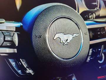 Mustang Convertible 55éme anniversaire 2.3 EcoBoost (EU6.2)
