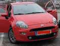 Fiat Punto Punto 0,9 TwinAir Turbo 105 Nuova Collezione Nuova Rot - thumbnail 1