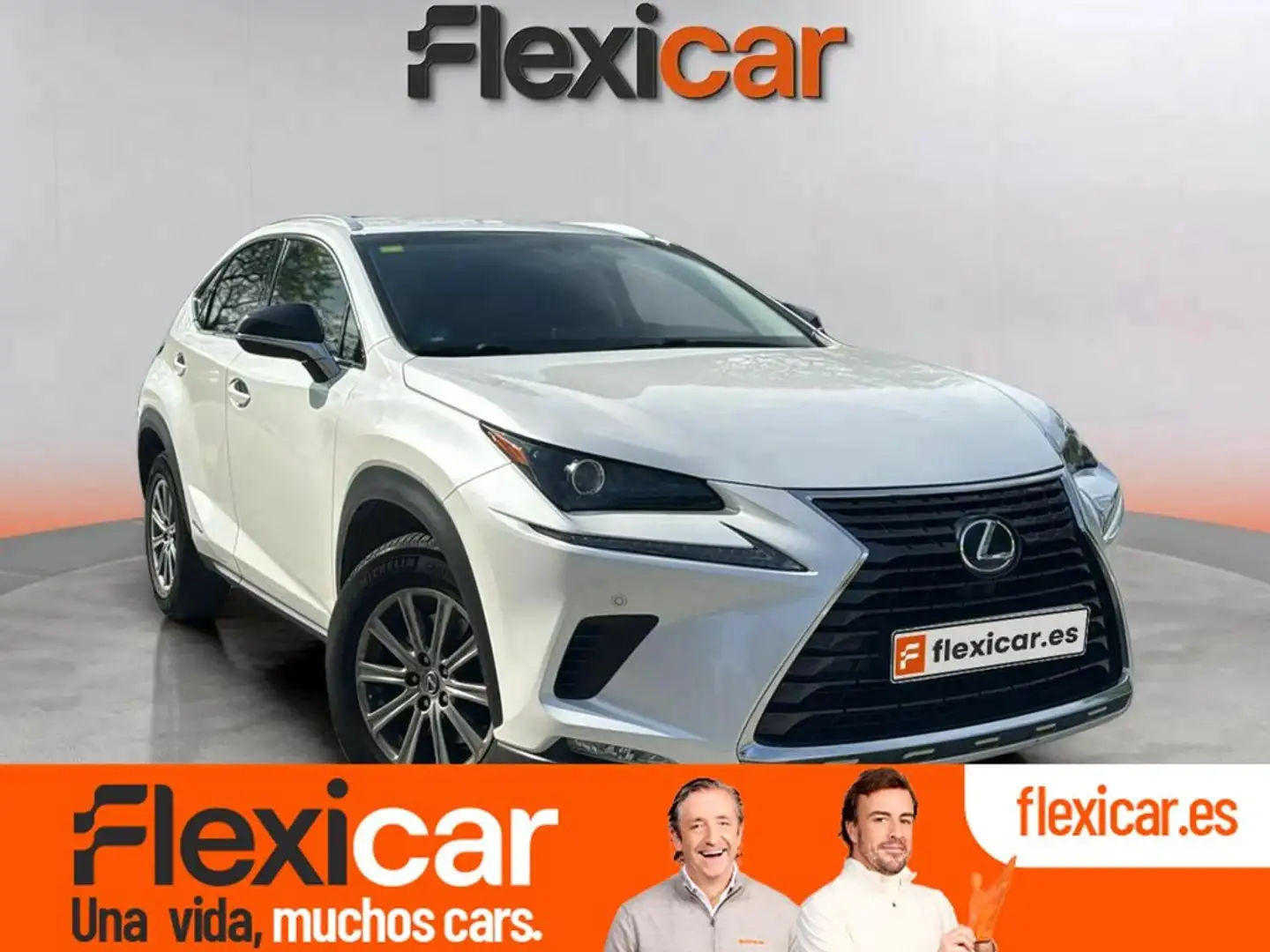 Lexus NX 300h 2.5 Business Navigation 2WD Blanco - 2