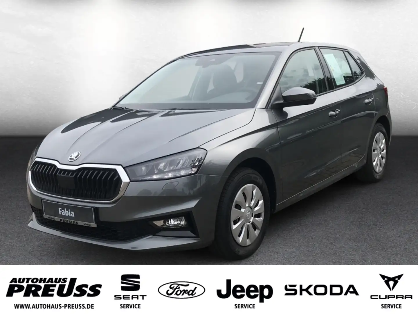 Skoda Fabia Essence 1.0 Grau - 1