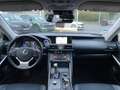Lexus IS 300 h Executive Line/Navi/Klima/LEDER/PDC Kam Grau - thumbnail 11