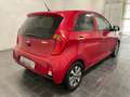 Kia Picanto 1.0 12V 66cv 5 porte Techno Glam-UNIPRO Rosso - thumbnail 4