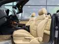 Audi A3 Cabriolet 1.8 TFSI Ambition * Cruise Control * Sto Mauve - thumbnail 4