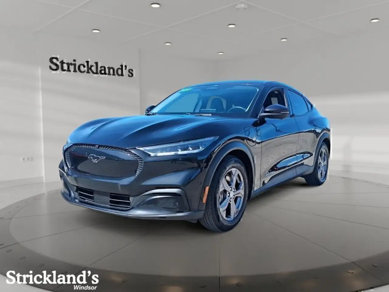 2023 Ford Mustang