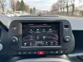 Fiat Panda 1.0 FireFly 70cv S&S Hybrid Cross Blu/Azzurro - thumbnail 9