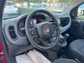 Fiat Panda 1.0 FireFly Hybrid S&S 70cv KmZero *PREZZO REALE* Rouge - thumbnail 11