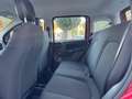 Fiat Panda 1.0 FireFly Hybrid S&S 70cv KmZero *PREZZO REALE* Rouge - thumbnail 9