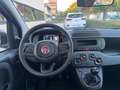 Fiat Panda 1.0 FireFly Hybrid S&S 70cv KmZero *PREZZO REALE* Rouge - thumbnail 10