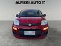 Fiat Panda 1.0 FireFly Hybrid S&S 70cv KmZero *PREZZO REALE* Rouge - thumbnail 2