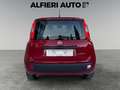 Fiat Panda 1.0 FireFly Hybrid S&S 70cv KmZero *PREZZO REALE* Rouge - thumbnail 5